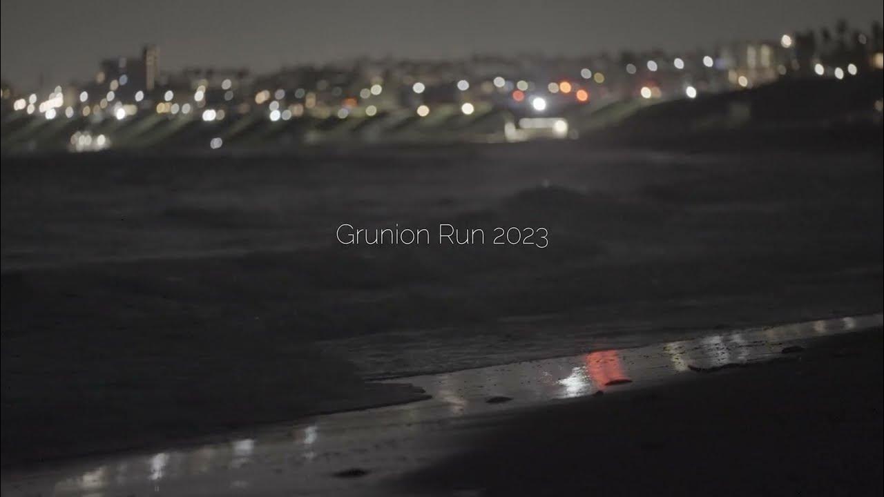 Grunion Run 2023 YouTube
