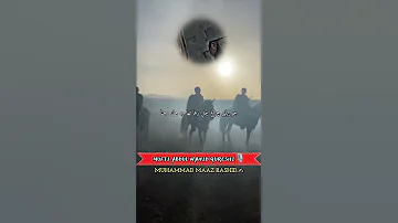 MUFTI ABDUL WAHID QURESHI WAQYA HAZRAT UMARrz Islamicshorts Bayan Islamicstatus Islamicvideo 