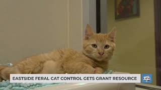 Eastside feral cat control gets grant resource