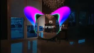 TOP BOY ( Slow & Reverb) | AP DHILLON | devil bass