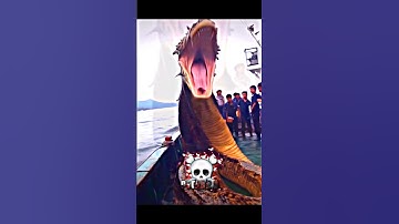 The most frightening sea creatures...💀 #trollface #troll #edit