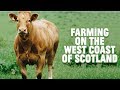 Farming on the west coast of scotland