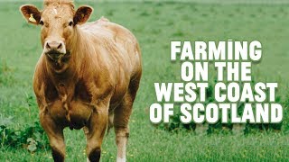 Farming on the west coast of Scotland