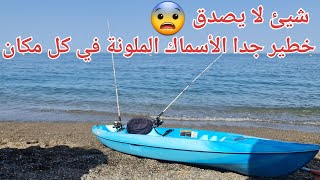 الأسماك الملونة تجتاح شاطئ أوشتامرحلة_صيد فلوك vlog pêcheمغامرات kayakfishing kayakfishing