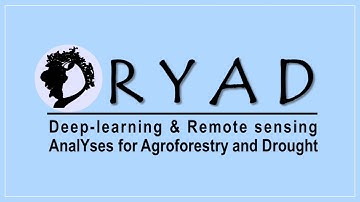 01) DRYAD Demo - Introduction