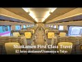 Solo travel japanbullet train  first class travelshinkansen trainutsunomiya to tokyo