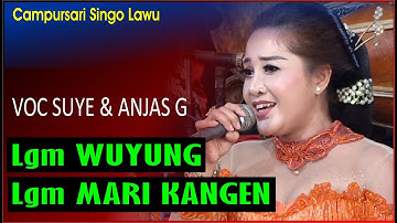 Langgam Mari kangen Wuyung sinden cantik Suye