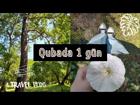 Video: Məktəb Gəzintiləri