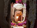 🙏🌹 Jai Shree Mahakal ki 🌹🙏#Aaj ke Balbhoge Aarti Dharshan #Baba Mahakal Ujjain 🌹🙏