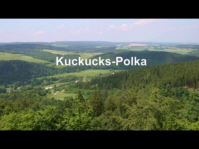 Hubert Wolf und seine Original Böhmerländer Musikanten - Kuckucks-Polka