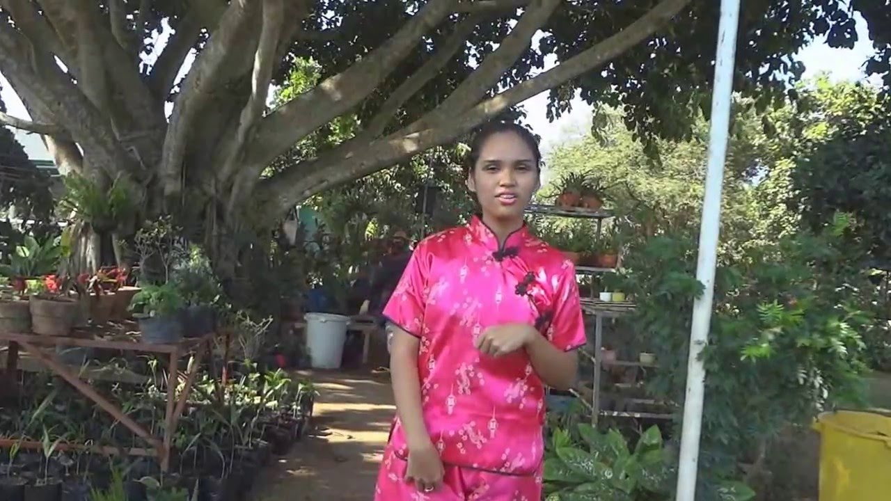 tian mimi (lsu-edition) - YouTube
