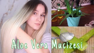 Uzun, Parlak & Güçlü Saçlar ! | Aloe Vera Saç Maskesi !