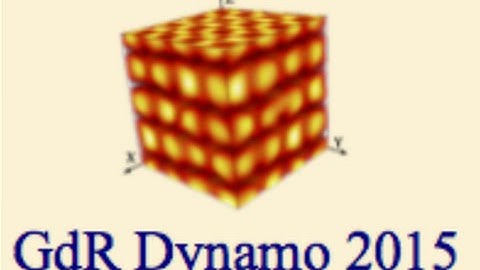 Dynamo onset as a first-order transition by Rahul Pandit