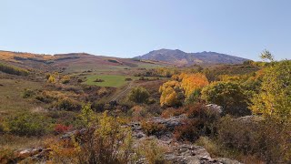 видео: 12 октября 2025 г. картинка: 12 октября 2025 г.