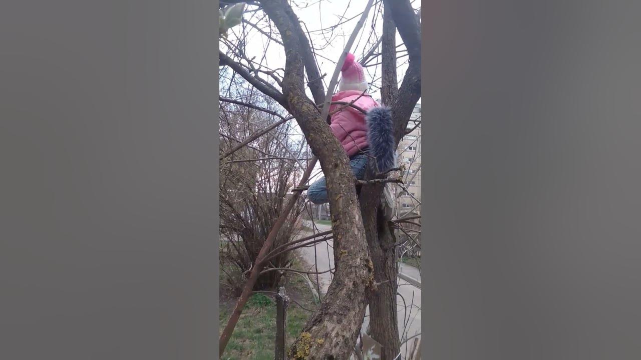 квадробика#лиса#рысь#кошка# - YouTube