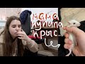 vlogmas #4 | мама купила внезапно крыс