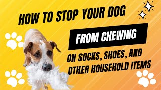 How To Stop Your Dog From Chewing