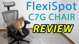 Flexispot C7G Chair Review