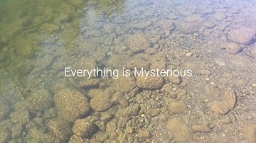 005 / Mysterious / Experimental / Voltage Research Lab