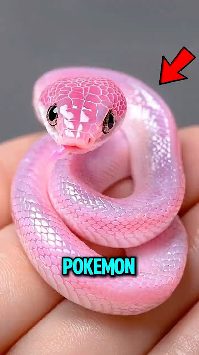 Top 3 Rarest Snake Species on Earth 😱