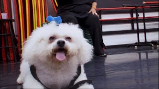 Broadway Baby Visits The Studio Dance Moms Season 1 Episode 6
