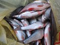 зимняя рыбалка на томи 2020 Митрофаново ПЕРЕЗАЛИВ