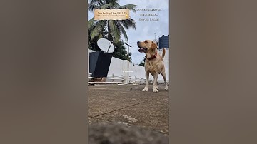 ⭐️Day 30 | Being Consistent ✨️| Lets grow together 🎯 #shorts #selfimprovement #tamil #videos