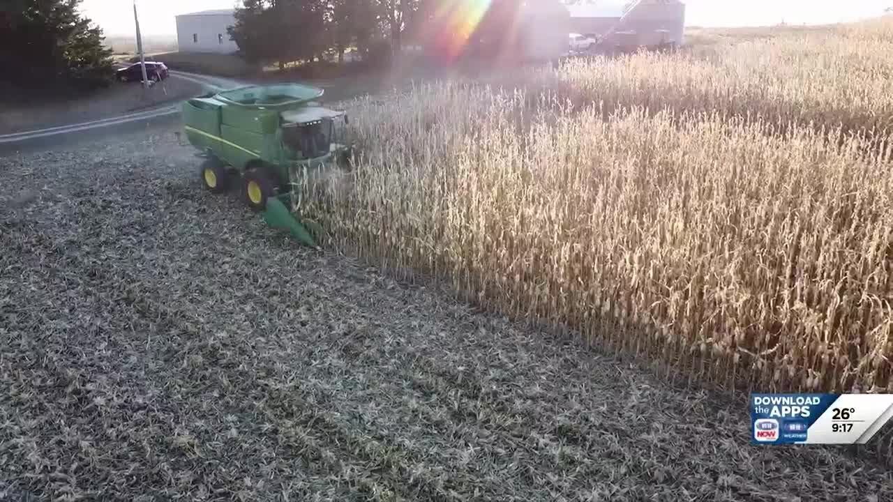 Innovative Youth Corn Challenge gives youth an opportunity to participate in on-farm research