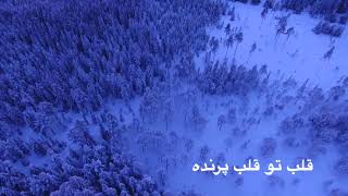 Ebi Pooste Shir with lyrics 1080P | ابی پوست شیر با شعر