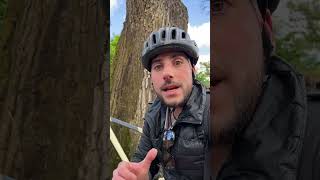 NO TE DEJES ENGAÑAR! TALLE DEL CUADRO