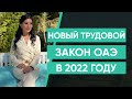 Новый трудовой закон ОАЭ в 2022 году