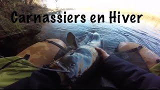 Pêche Multi-Carnassier en Hiver | Astuces pour ne plus faire de 