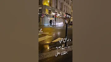 شتي يا دنيي عبير نعمة Abeernehmeofficial Tiktok 
