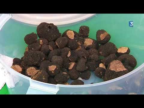 Eguisheim, le marché aux truffes