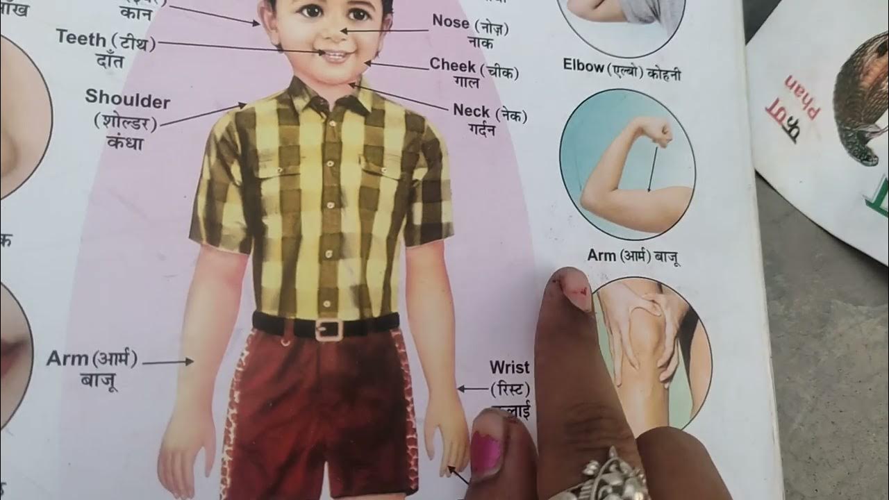 parts of body name/body poem/english poem YouTube