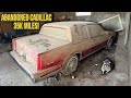 Cadillac coupe deville abandoned with 35k original miles first wash in 21 years