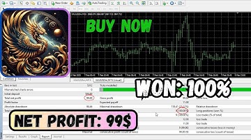 Fenghuang Rig EA Review | MT4 Hybrid Algorithm for EURUSD & XAUUSD