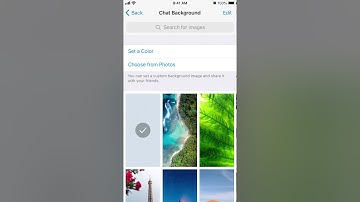 How to change CHAT BACKGROUND in TELEGRAM app?