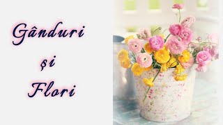 Gânduri și flori | Cristina