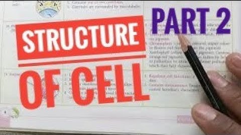 Cell: Structure and function- Part 2 #cellbiology #cellorganelle
