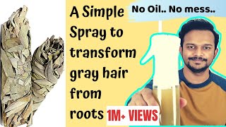 ⭐ A Spl. Natural Spray that help Reverse Gray Hair from Roots, Premature Graying, Gray beard