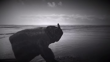 jessereno.com - in search of rainbows