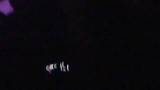 Download Lagu Ariana Grande Love Me Harder \u0026 breathin live at Sweetener World Tour Vienna/Austria MP3 Download Lagu Ariana Grande Love Me Harder \u0026 breathin live at Sweetener World Tour Vienna/Austria MP3