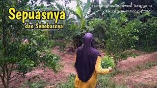 🔴COOKING SODOROUS LEAVES || SPRAYING ORANGES THAT HAVE STARTED TO PRODUCE SMALL FRUIT🍊