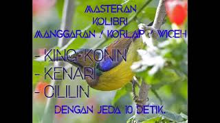 Masteran Korlap/Manggaran/Wiceh isian King Konin, Kenari , Cililin. dengan jeda 10 detik.