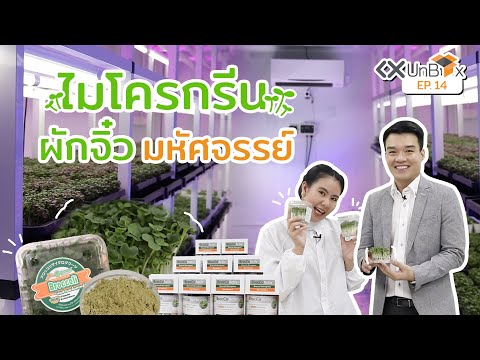 วีดีโอ: การใช้ไมโครกรีนคืออะไร