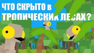 Что Скрывается В Глубинах Тропиков? (Русская Озвучка)