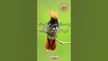 اللهم صل وسلم وبارك على نبينا محمد #قرآن #quran #سورة الاحزاب #عبدالباسط_عبدالصمد #ارح_قلبك #fyp