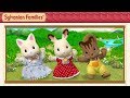 Let’s Dance Together In Happiness! | Sylvanian Families Movie | Dance And Singalong