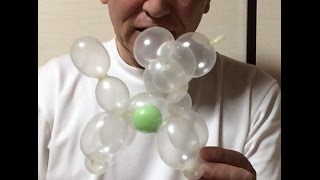 #0122 妊婦プードル a balloon pregnant poodle